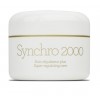 Synchro 2000 - Soin régulateur plus / Super regulating face care